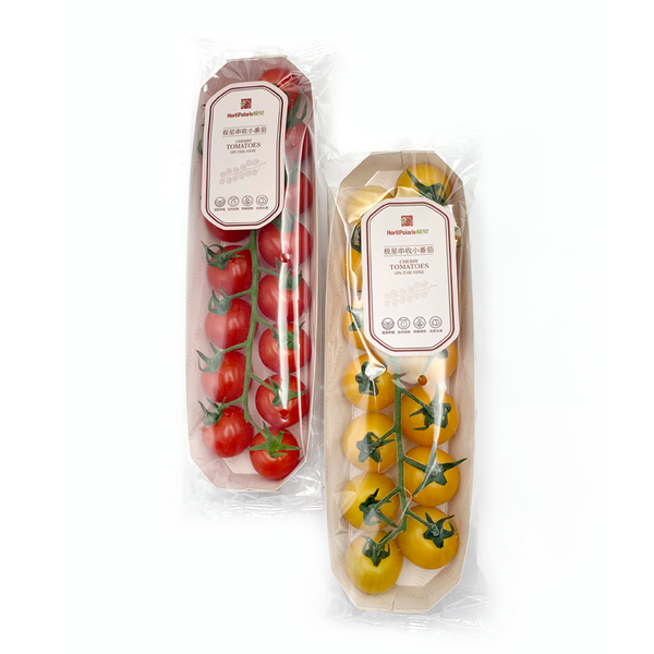 极星红黄串收小番茄