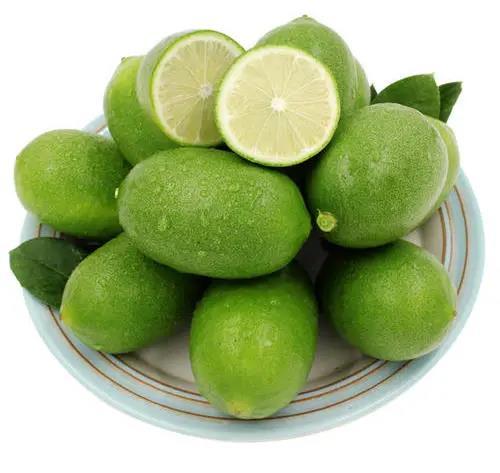 廣州市白云區(qū)沙田檸檬農(nóng)產(chǎn)品專業(yè)合作社 香水檸檬