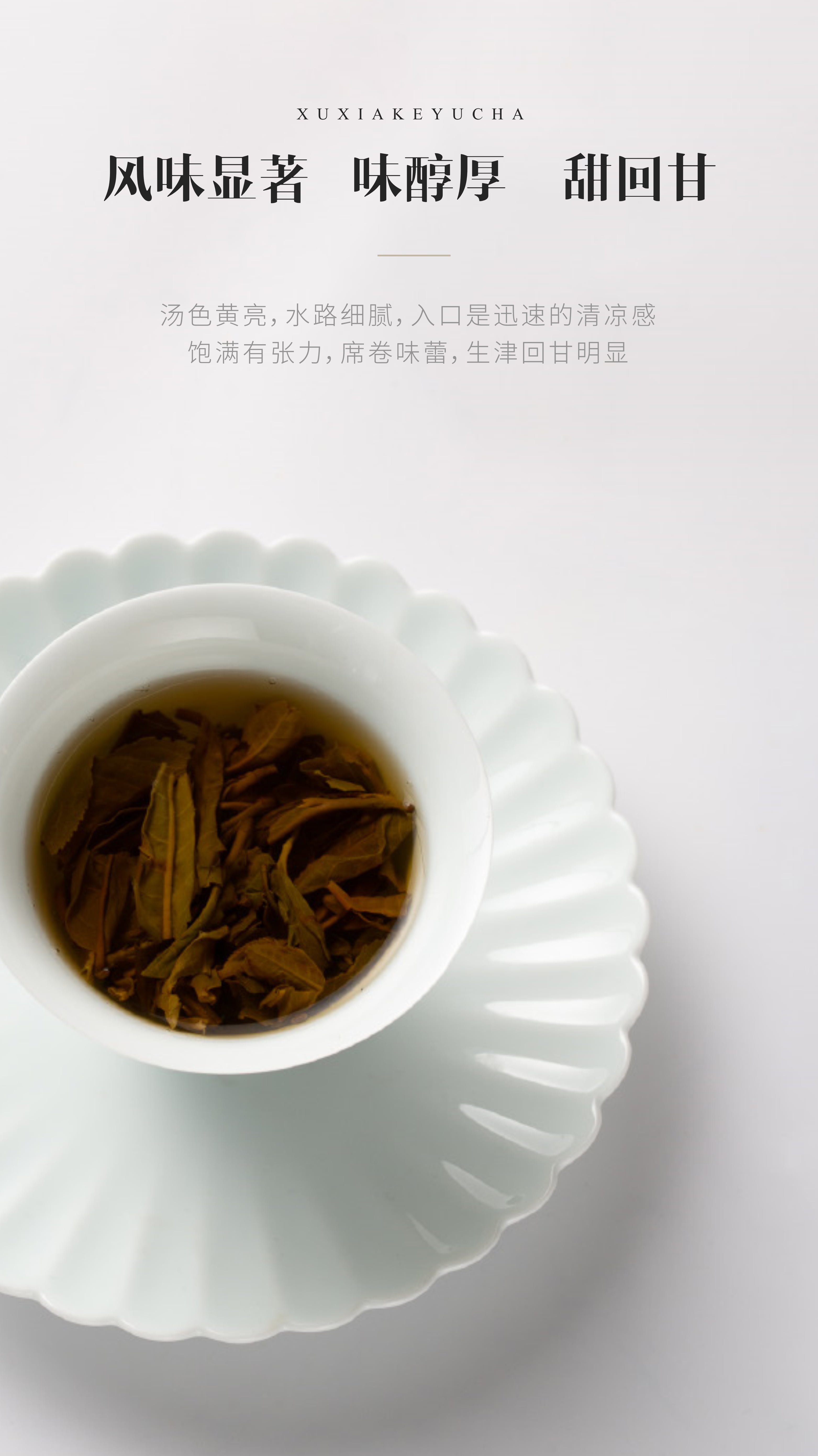 徐霞客饼干茶生茶