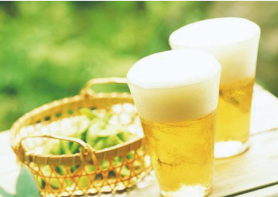 上海梵波生物科技有限公司 精釀啤酒