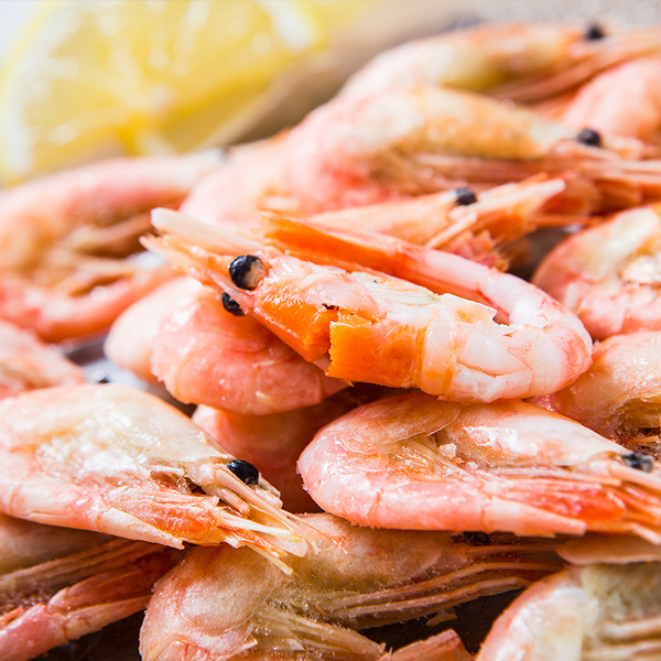 北极甜虾
