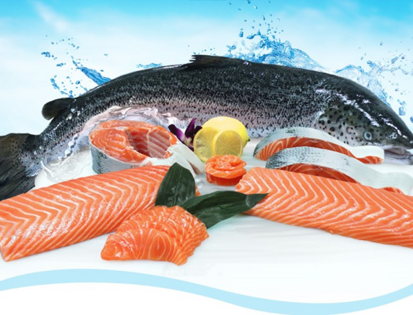上海盒成食品有限公司 冰鮮三文魚(yú)
