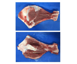 冷凍豬多肉扇骨