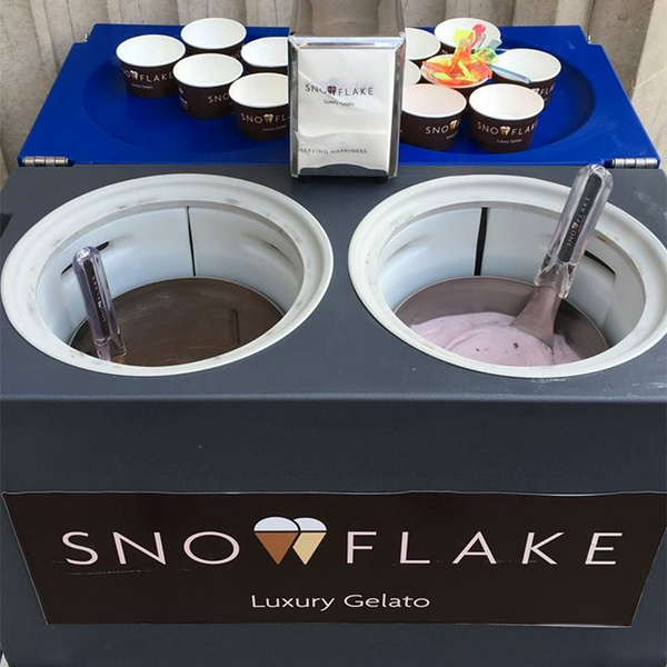 Coolbox卡比詹尼双孔冰淇淋保温箱 地摊神器