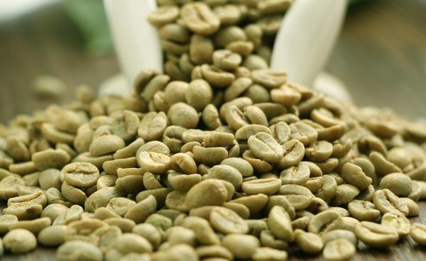 上海熠果国际贸易有限公司 咖啡白豆