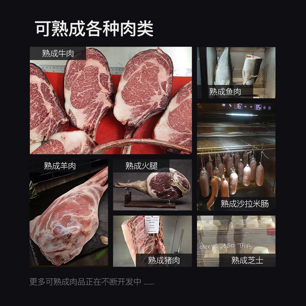 干式熟成柜DA400S