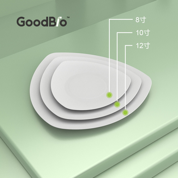 PLA全降解环保餐碟