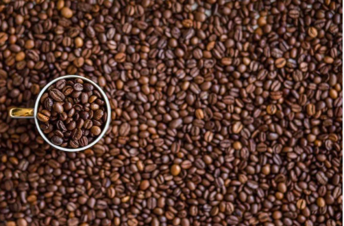 选择咖啡豆烘培机时需要注意哪些问题