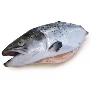 冰鮮三文魚