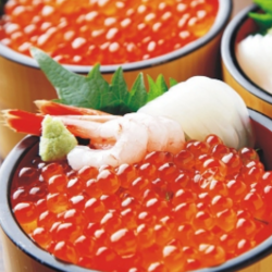 三文魚籽醬