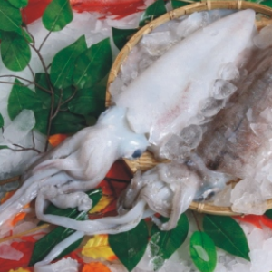 鮮油墨魚