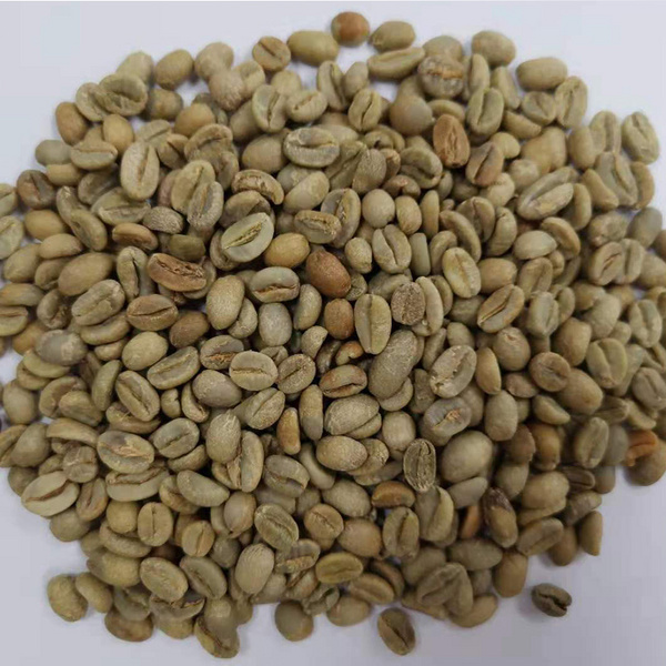 埃塞俄比亚 古吉 手工筛选 G2 日晒 狮心王子