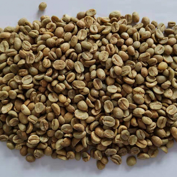 哥斯達黎加 巨石莊園 SHB 藍薄荷唐 重發(fā)酵蜜處理