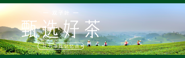 泰州双子叶茶业有限公司