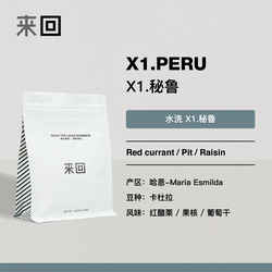 X1.秘鲁