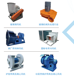 非標(biāo)定制風(fēng)機(jī)