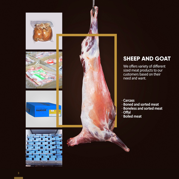 綿羊肉和山羊肉