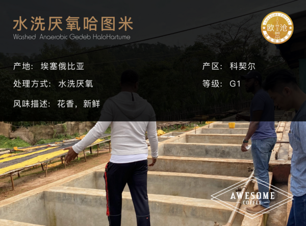 水洗厭氧哈圖米