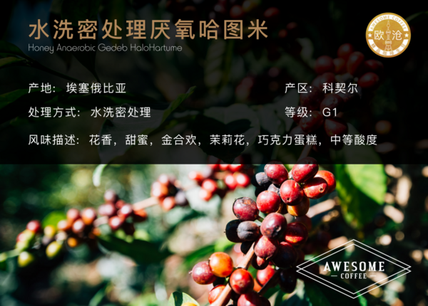 水洗密处理厌氧哈图米