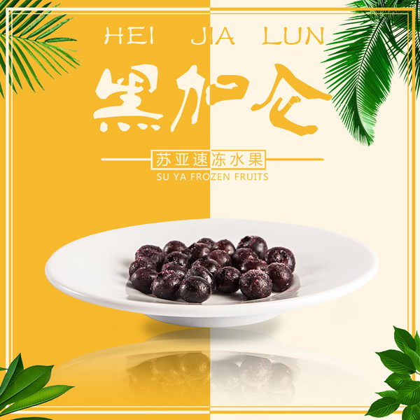 苏亚冷冻黑加仑