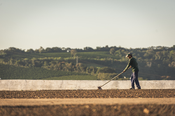 石光商贸（上海）有限公司