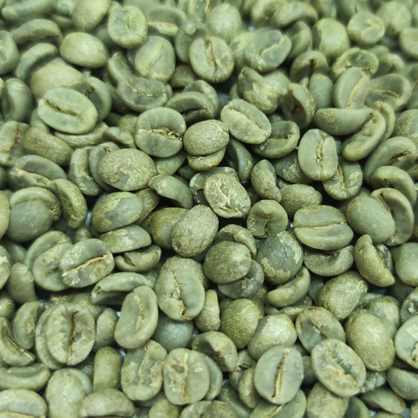 巴西 圣安东尼奥 巧克拉 NO2 日晒 咖啡生豆