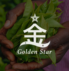 拼配茶 / 金星拼配茶