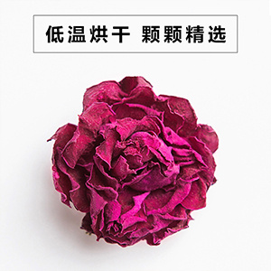 平阴玫瑰特级花冠