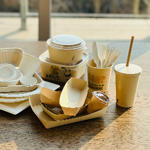 餐饮包装-纸质产品与甘蔗浆产品