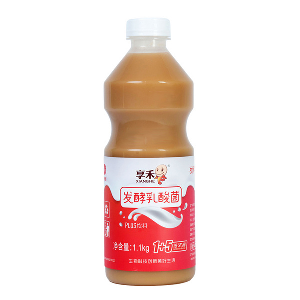 1+5倍浓缩发酵乳酸菌