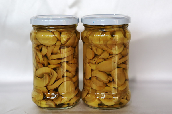 福建同發(fā)食品集團有限公司  碎菇罐頭