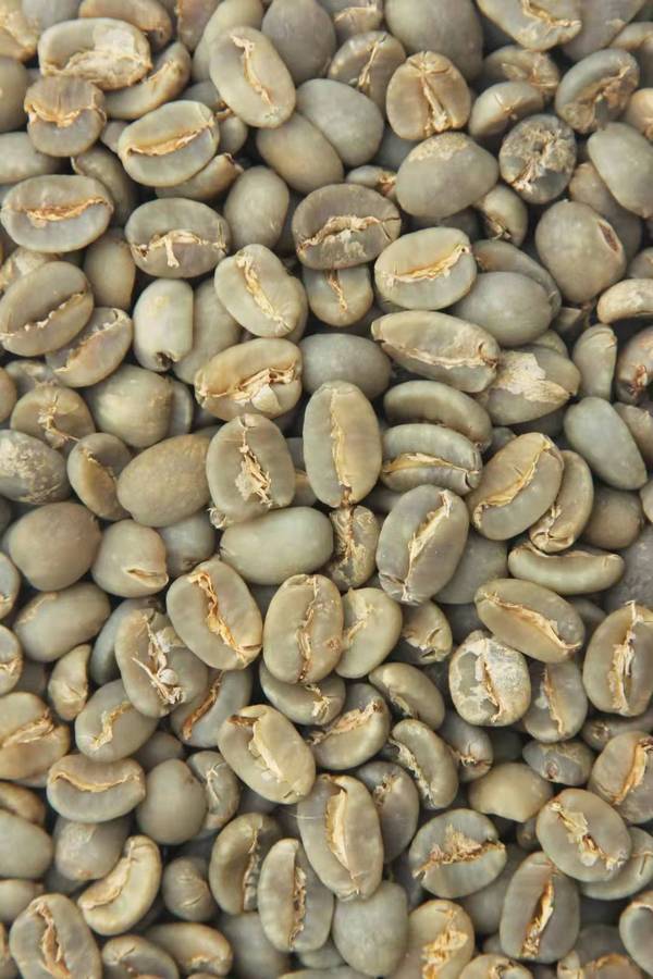 印尼精品咖啡生豆