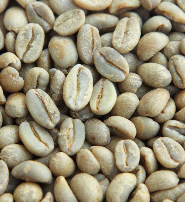 埃塞俄比亚精品咖啡生豆