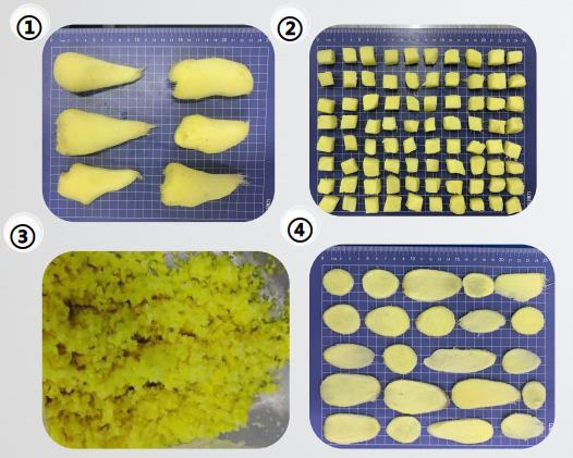 22城集团 鲜切菜  生姜