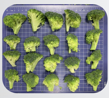 22城集團(tuán) 鮮切菜  西蘭花