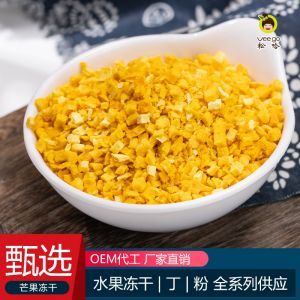 芒果丁冻干果干碎5mm