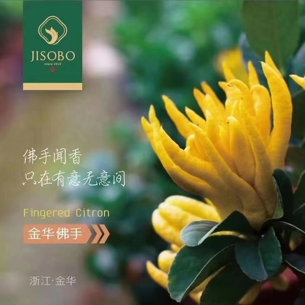 浙江金佛手生物医药科技有限公司