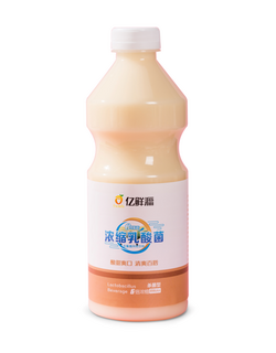 濃縮乳酸菌