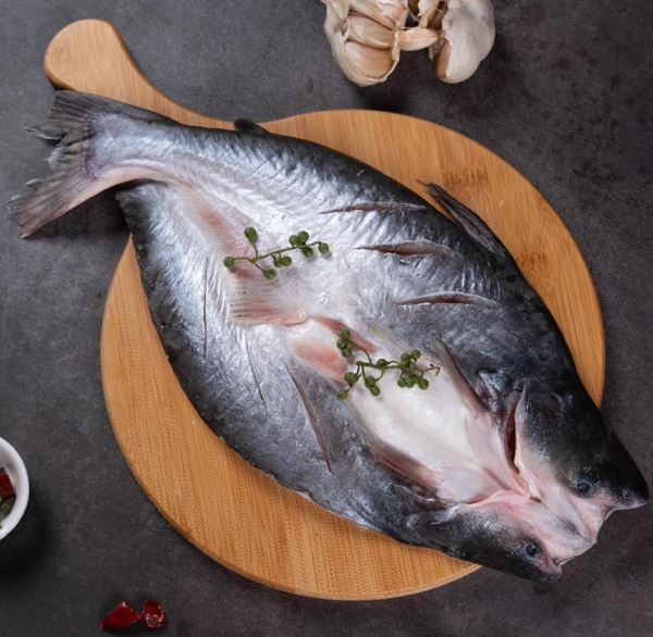 開(kāi)背巴沙魚(yú)