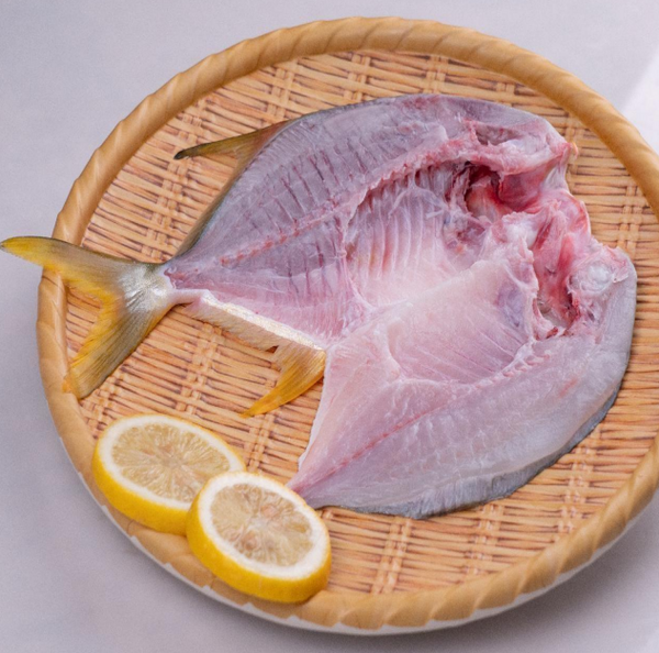 開背金鯧魚