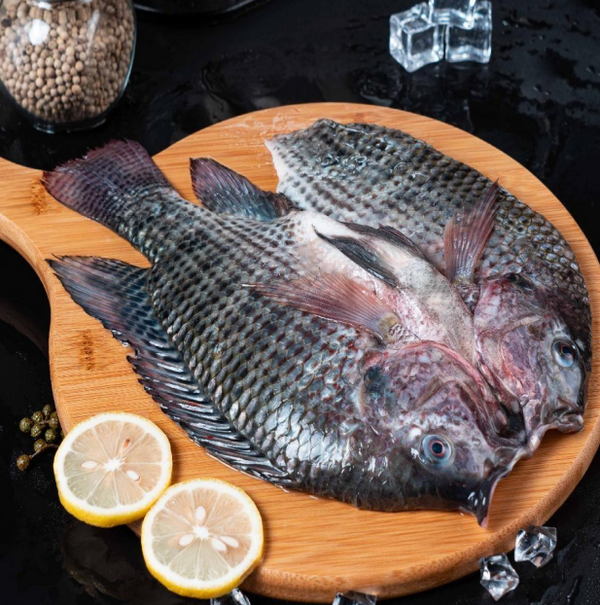 開背鯛魚