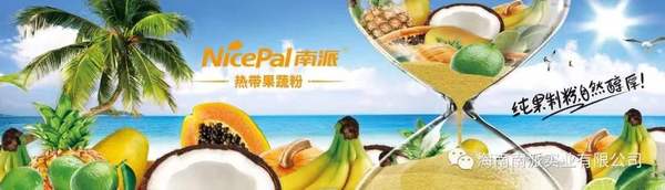 海南南派实业有限公司