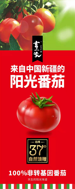 來(lái)自中國(guó)新疆陽(yáng)江番茄