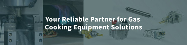 达理精控股份有限公司