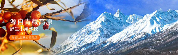 青海康普生物科技股份有限公司