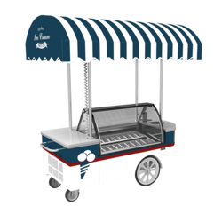 冰淇淋展示柜冰淇淋车cart12