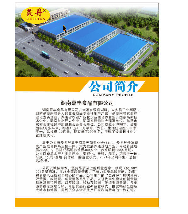 湖南嘉丰食品有限公司