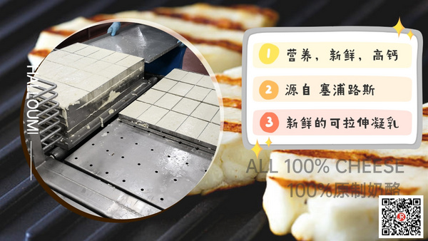 乐嘉文烧烤奶酪，哈罗米，希腊酸奶，菲达加工生产线