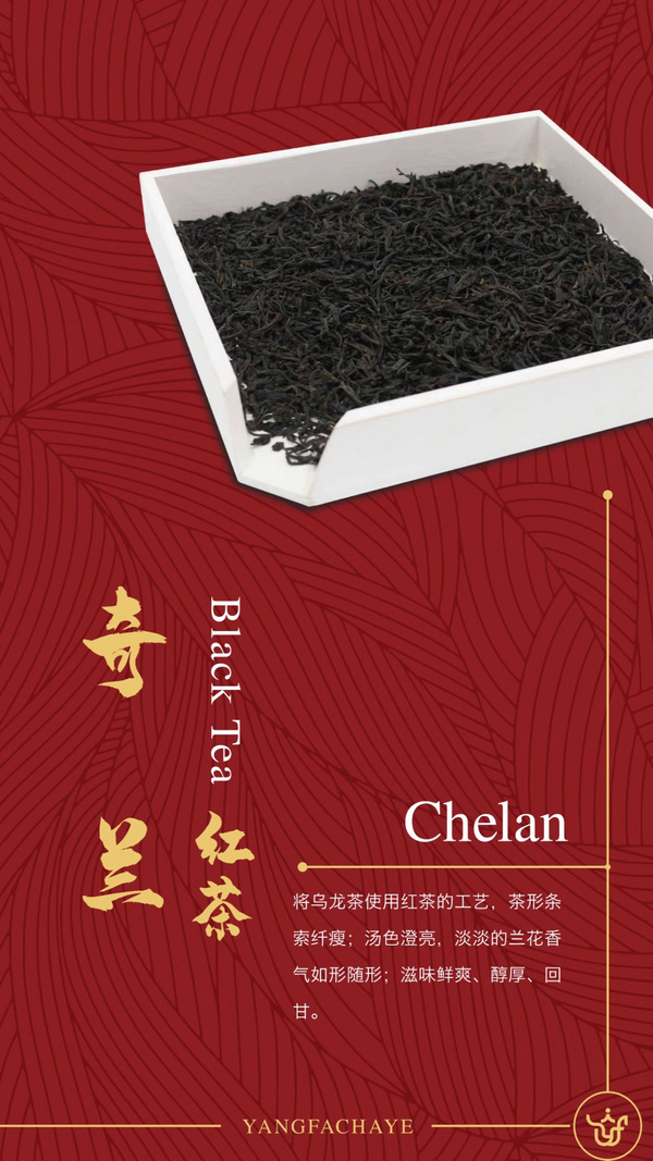 奇蘭紅茶