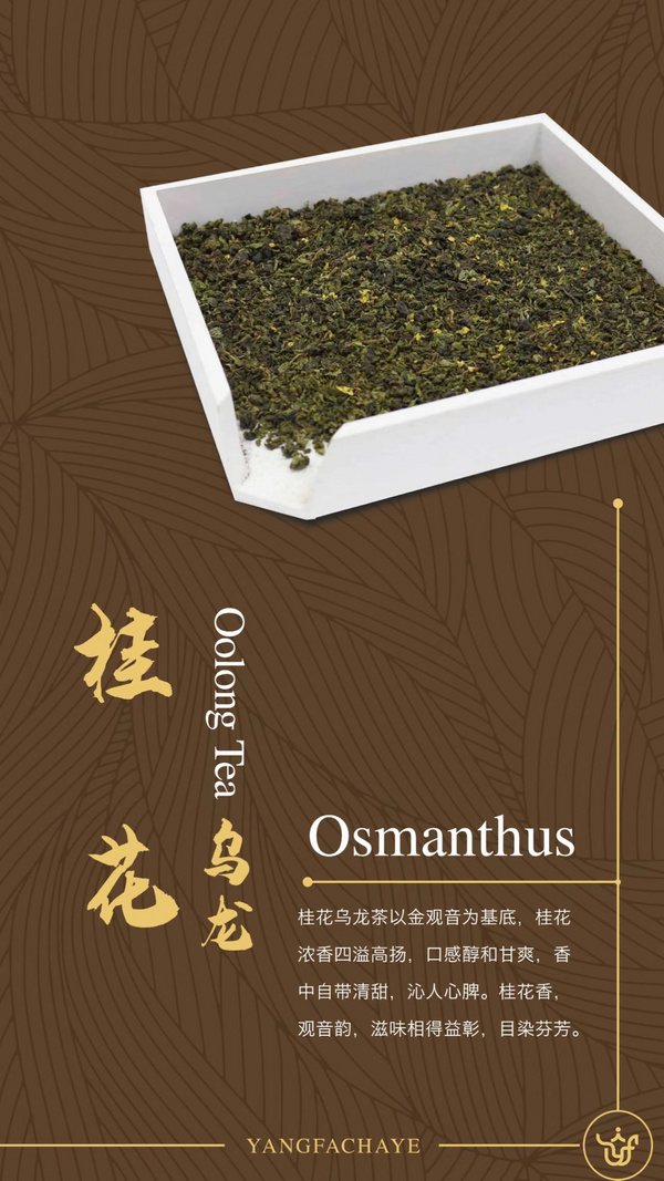 桂花烏龍